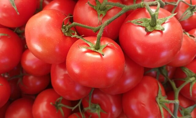3 sposoby określenia jakości pomidora. Teraz umiem wybrać pomidory