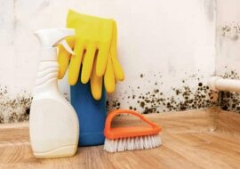 Niechemiczne sposoby na pozbycie się pleśni w domu