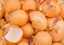 Niezwykłe użycie skorupek po jajkach w życiu codziennym: 4 ciekawe sposoby