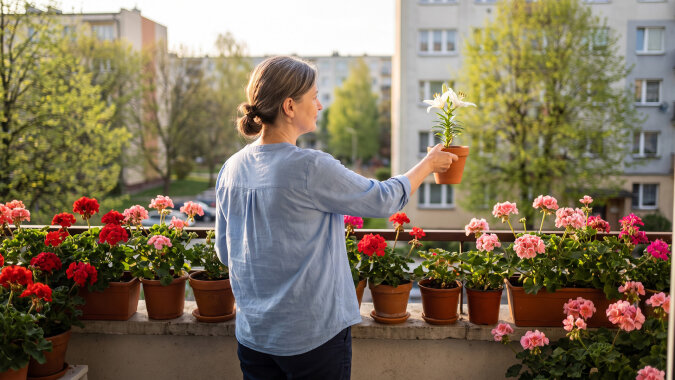 Mąż odszedł do młodszej dwa lata temu. W sobotę stał pod moimi drzwiami z walizką i lilią w doniczce - "twoją ulubioną". Ja lubię pelargonie. Lilie lubiła ona
