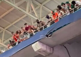 Fani piłki nożnej ratują kota za pomocą flagi: wideo