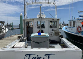 W USA wieloryb połknął człowieka, a następnie go wypluł