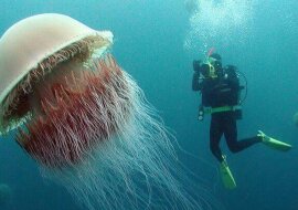 20 zdjęć pokazujących, że moc natury jest niezwykle wielka