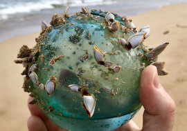 20 najbardziej niezwykłych znalezisk osób z całego świata