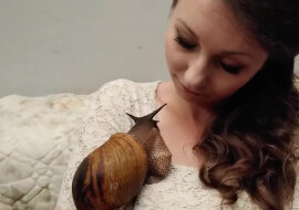 Ślimak prosi się o noszenie na rękach. Zobacz wideo