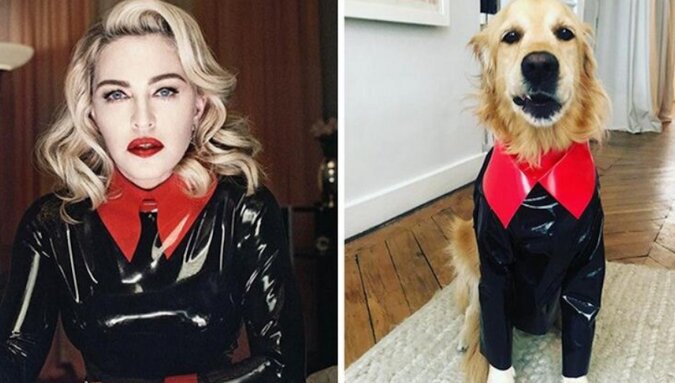 Fajne ujęcia psa, który odtworzył kultowe zdjęcia Madonny