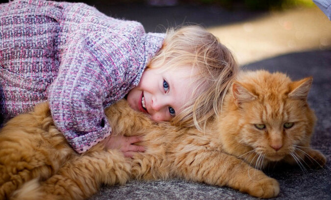 W przypadku braku ogrzewania, w Wielkiej Brytanii zaleca się przytulać koty i psy, aby nie zamarznąć