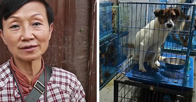 Kobieta z Chin adoptowała szczeniaka i nie mogła się zatrzymać. Teraz ma 1300 psów