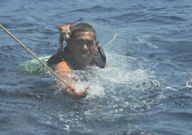 Straż graniczna uratowała koty z tonącego statku