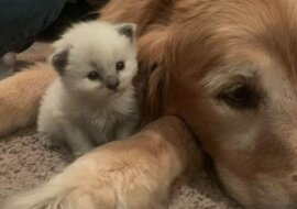 15 wspaniałych zdjęć, które z pewnością cię rozweselą