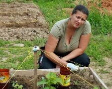 W dzień wypędziłam mrówki i mszyce ze swojego ogrodu. Sprawdzony sposób gospodarstw rolnych