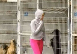 Kobieta nie mogła wybrać psa do adopcji, więc kupiła całe schronisko