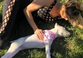 Dobra kobieta uratowała chorego psa, którego wszyscy porzucili