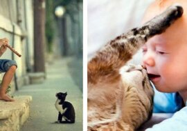 Najsłodsze zdjęćia. Spróbuj obejrzeć te zdjęcia i się nie uśmiechnąć
