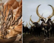 Te 19 zdjęć udowodnią Ci, że natura jest skłonna do perfekcjonizmu