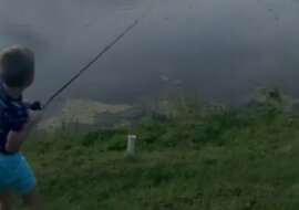 Aligator zwinął połów siedmioletniego rybaka. Wideo