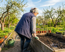 Wzięłam 30 tysięcy kredytu, żeby zięć mógł otworzyć warsztat. Warsztat zamknął po ośmiu miesiącach