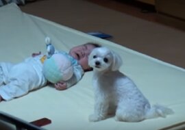 Matka położyła niemowlę na plecy, a obok znajdował się piesek. Nagranie, które udało się jej zrobić odebrało mowę