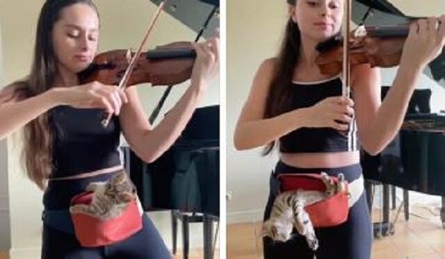 Filmik z dziewczyną grającą na skrzypcach dla kotka podbił cały Internet