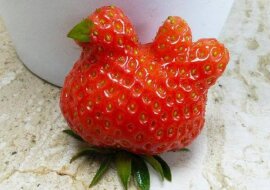 15 warzyw, które wyglądają tak, jakby były czymś innym