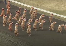 Zabawny bieg tyranozaurów – kto będzie pierwszy? Wideo