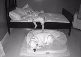 Dziecko wstaje z łóżka w środku nocy, aby spać na podłodze ze swoim najlepszym przyjacielem