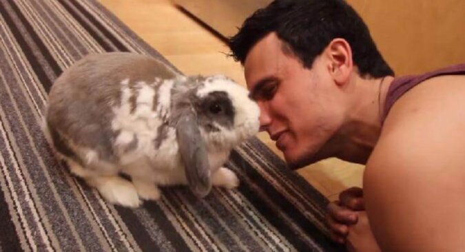 Wzruszające spotkanie królika z właścicielem po długiej rozłące. To są emocje