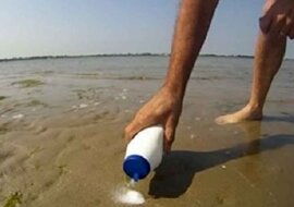 Wysypał szczyptę soli na plaży. To, co pojawiło się tam po 12 sekundach, jest przerażające