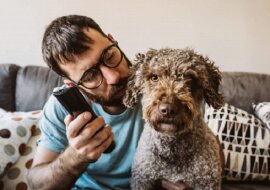 Reakcje psów na oglądanie telewizji: śmieszne nagrania