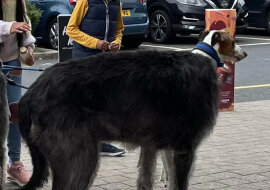 14 zdjęć, które w szybki sposób potrafią namieszać ci w głowie