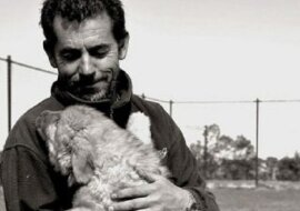 Trzy lata rozłąki nic nie znaczą dla kochających serc: psu udało się odnaleźć właściciela