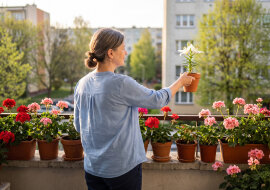 Mąż odszedł do młodszej dwa lata temu. W sobotę stał pod moimi drzwiami z walizką i lilią w doniczce - "twoją ulubioną". Ja lubię pelargonie. Lilie lubiła ona