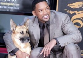 Te gwiazdy zabrały swoje zwierzaki z filmów do domu