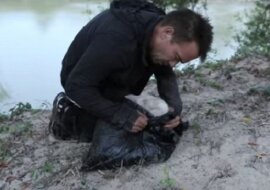 Mężczyzna wyciągnął czarny worek z rzeki, w środku był szczeniak. Obejrzyj ten wspaniały krótki film
