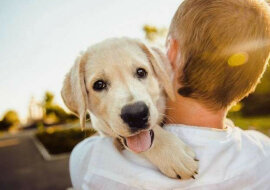 Spojrzenie z przeszłości. Chłopiec oddawał szczeniaka na ulicy