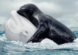 15 zdjęć pokazujących, jak niesamowicie piękny jest nasz świat