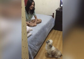 Pies śpiewa z dziewczynką, kopiując noty. Zabawne wideo