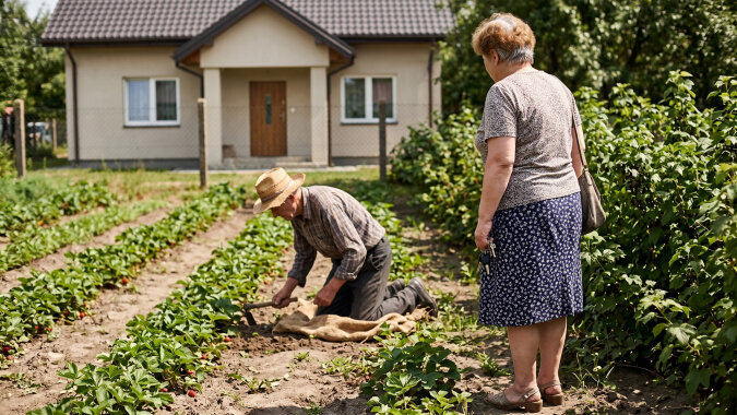 Brat zabrał tatę na wakacje do siebie pod Sokółkę - "niech odpocznie od bloku, mamy ogród". W lipcu pojechałam bez zapowiedzi. Tata w kapeluszu pielił za domem rzędy truskawek na sprzedaż, brat z bratową byli na targu w Białymstoku