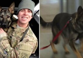 Po 3 latach żołnierz ponownie widzi swojego psa. Zobacz wideo ich wzruszającego spotkania