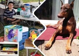 Aby zapłacić za leczenie czworonogiego przyjaciela, dziecko sprzedało wszystkie swoje zabawki