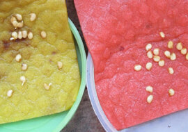 Jak wykiełkować przeterminowane nasiona papryki