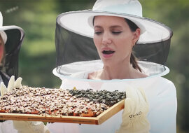 Angelina Jolie w stroju pszczelarza nieustraszenie pomaga ratować pszczoły w Prowansji: wideo