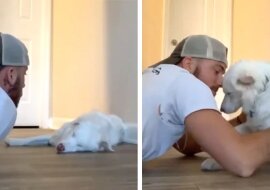 Zobacz, jak delikatnie ten mężczyzna budzi swego ślepego i głuchego psa