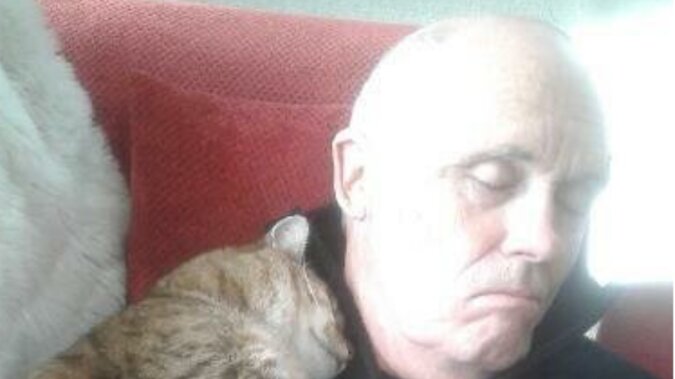 Mężczyzna nie lubił kotów, po operacji spał w domu, a gdy się obudził, leżał na nim kot