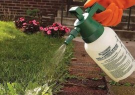 Raz na zawsze pozbądź się chwastów na ścieżkach ogrodowych: prosty sposób