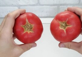 Sposób na marynowanie pomidorów na talerzu 10 minut przed podaniem. Bez użycia puszek lub torebek