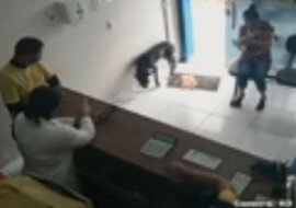 Do kliniki przyszedł bezdomny pies, aby poprosić ludzi o pomoc