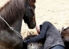 Tylko zobacz co te konie robią z tą dziewczyną. Wideo