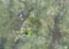 Zepsuta moskitiera? Łatwy sposób na załatanie w zaledwie dwie minuty