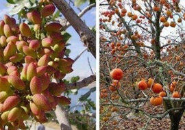 Zdjęcia produktów w formie, którą rzadko je widzimy